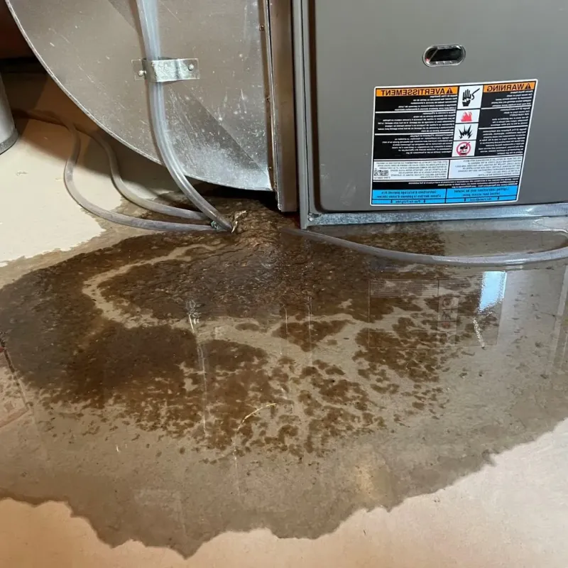 Pipe Burst and Leak Restoration in Cache, OK