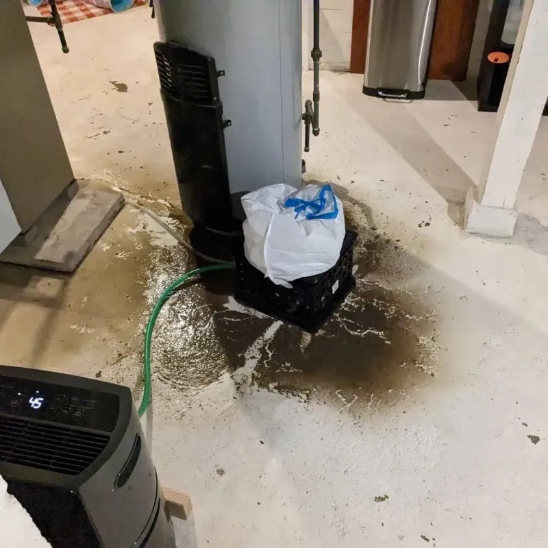 Sewage Backup Cleanup Service in Cache, OK